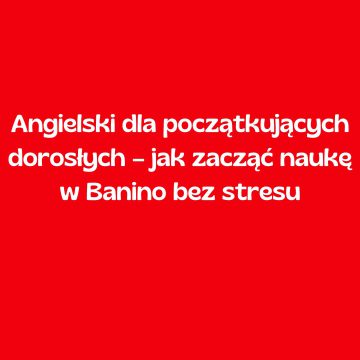 Angielski dla początkujących dorosłych – jak zacząć naukę w Banino bez stresu
